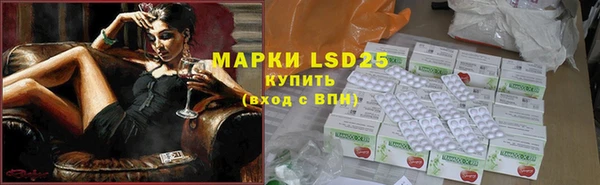гашик Аркадак