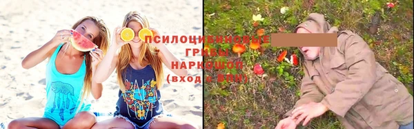 гашик Аркадак