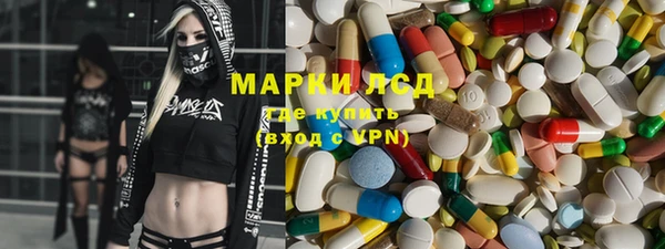 гашик Аркадак