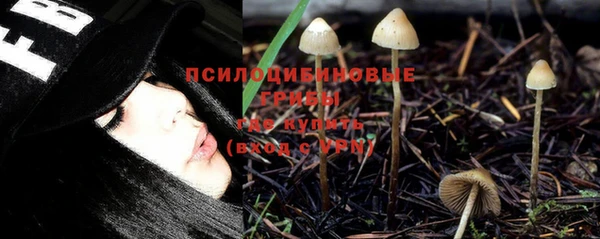 дживик Нефтегорск