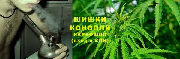 гашик Аркадак